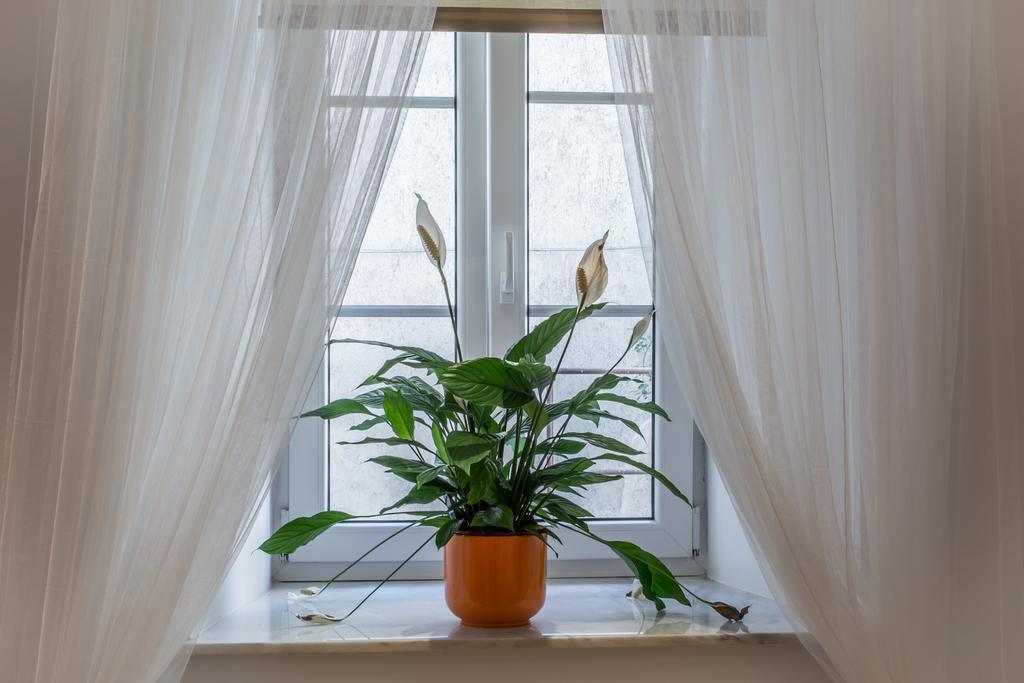 Charming Apartment Tanja Zagreb Room photo