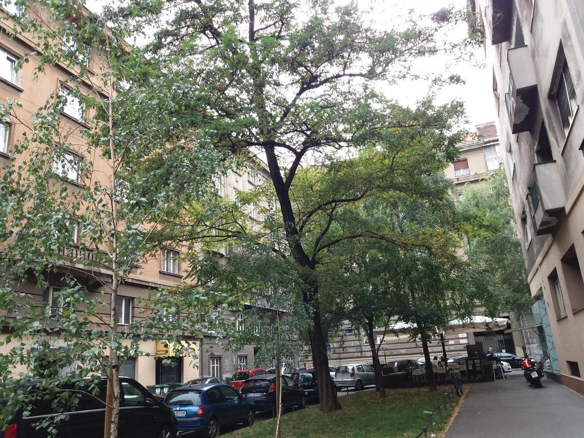 Charming Apartment Tanja Zagreb Exterior photo