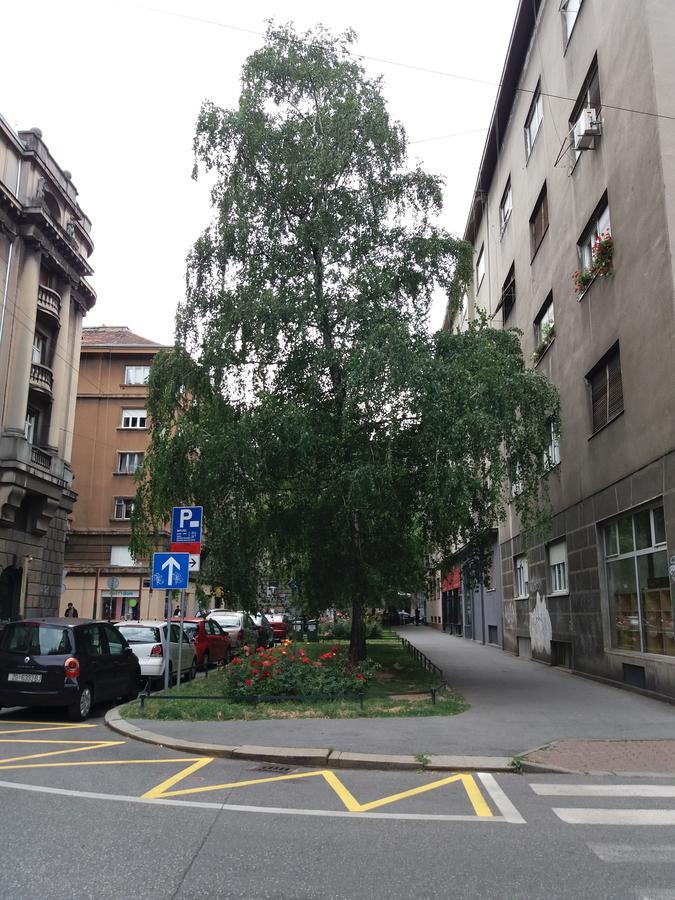 Charming Apartment Tanja Zagreb Exterior photo